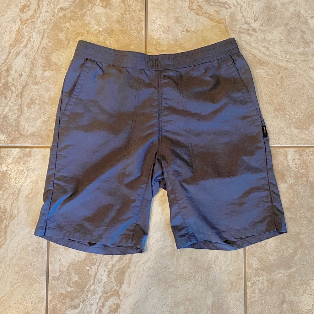 Mens Swiss Alps nylon shorts